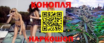 гидропоника Кинель