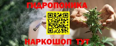 мяу мяу мука Кингисепп